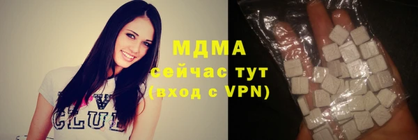 индика Алзамай